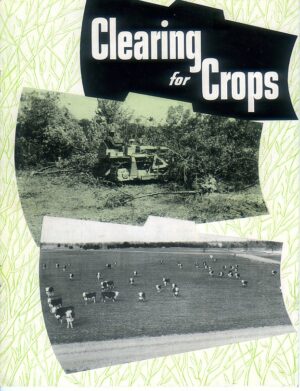 C12 Caterpillar Land Clearance