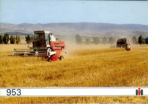CO129 International 953